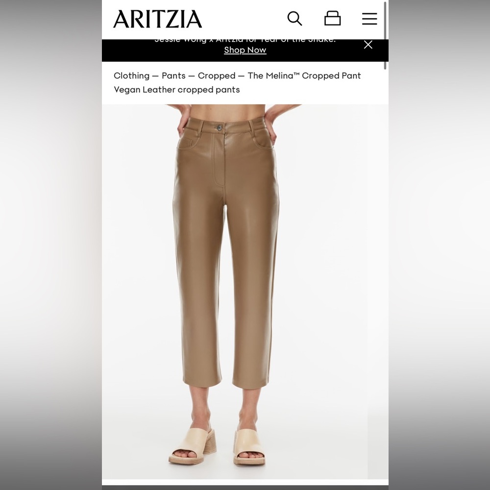 Aritzia Babaton Melina cropped pants